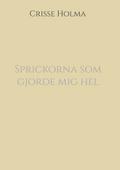Sprickorna som gjorde mig hel
