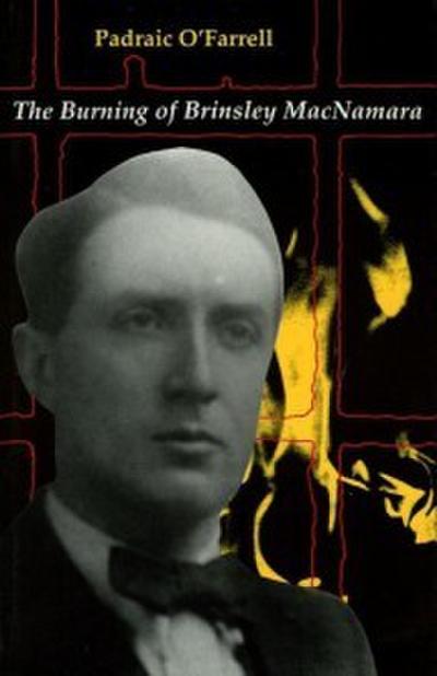 Burning of Brinseley MacNamara