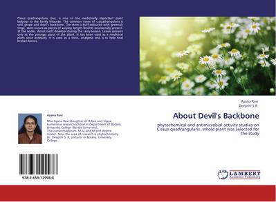 About Devil’s Backbone