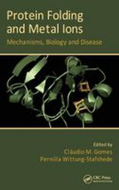 Protein Folding and Metal Ions