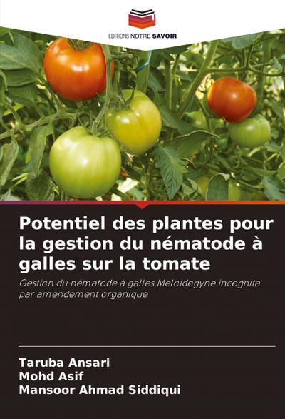 Potentiel des plantes pour la gestion du nématode à galles sur la tomate