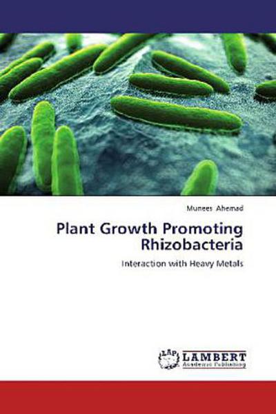 Plant Growth Promoting Rhizobacteria