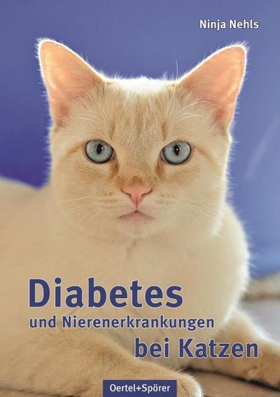 Diabetes und Nierenerkrankungen bei Katzen