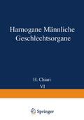 Harnorgane Männliche Geschlechtsorgane