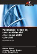 Patogenesi e opzioni terapeutiche del carcinoma della colecisti