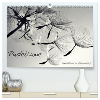Pusteblume - Impressionen in schwarzweiß (hochwertiger Premium Wandkalender 2026 DIN A2 quer), Kunstdruck in Hochglanz