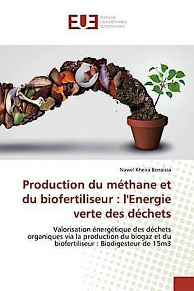 Production du méthane et du biofertiliseur : l’Energie verte des déchets