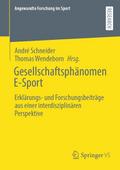 Gesellschaftsphänomen E-Sport