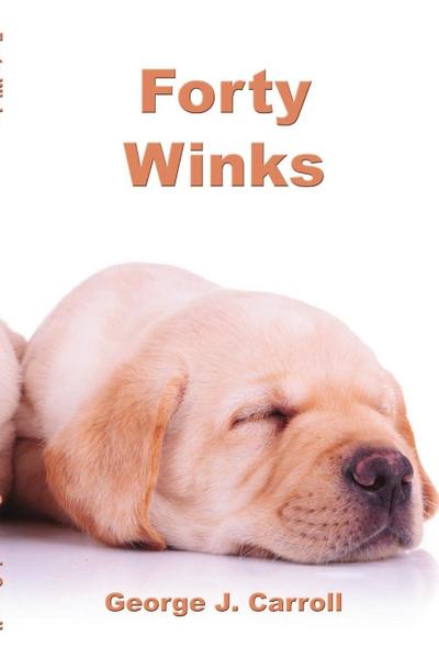 Forty Winks