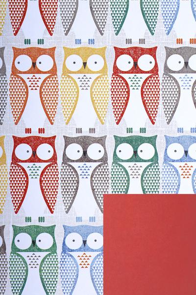 Geschenkpapier-Rolle Archimedes Design Nr. 520610