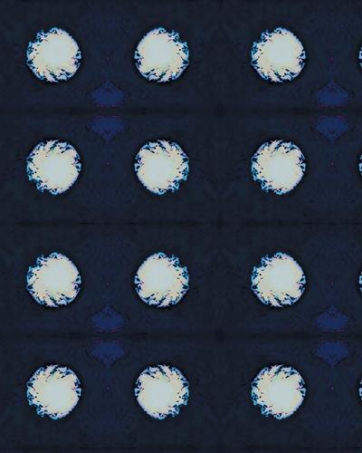 The White Dots Notebook