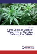Some Common weeds of Wheat crop of Chamkani Peshaw