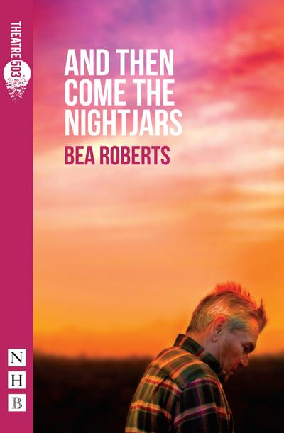 And Then Come The Nightjars (NHB Modern Plays)
