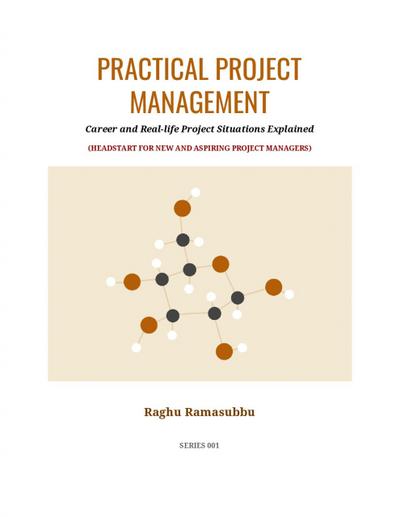 Practical Project Management
