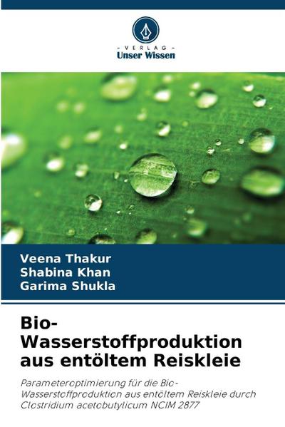 Bio-Wasserstoffproduktion aus entöltem Reiskleie