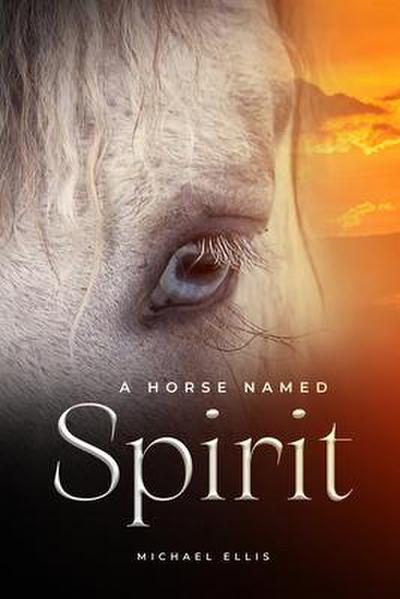 A Horse Named Spirit