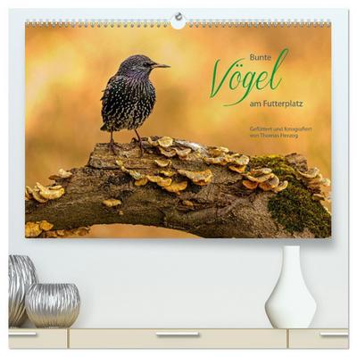 Bunte Vögel am Futterplatz (hochwertiger Premium Wandkalender 2026 DIN A2 quer), Kunstdruck in Hochglanz