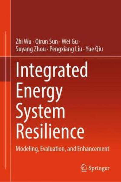 Integrated Energy System Resilience