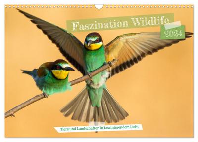 Faszination Wildlife (Wandkalender 2024 DIN A3 quer), CALVENDO Monatskalender
