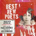 Best New Poets 2022