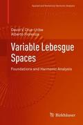 Variable Lebesgue Spaces