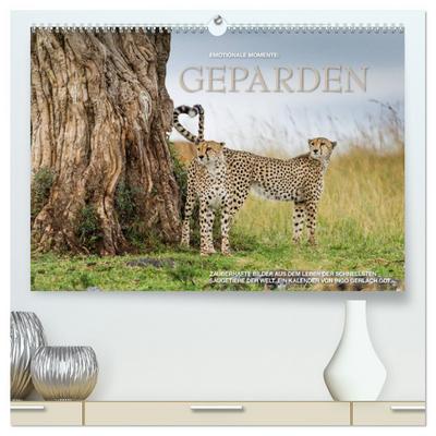 Emotionale Momente: Geparden (hochwertiger Premium Wandkalender 2024 DIN A2 quer), Kunstdruck in Hochglanz
