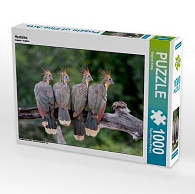 Hoatzins (Puzzle)