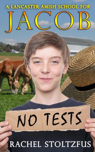 A Lancaster Amish School for Jacob (A Home for Jacob, #4)