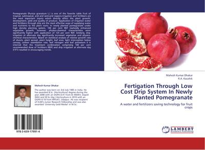 Fertigation Through Low Cost Drip System In Newly Planted Pomegranate