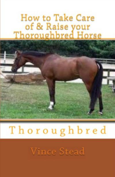 How to Take Care of & Raise your Thoroughbred Horse