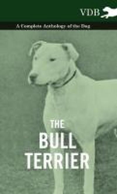 The Bull Terrier - A Complete Anthology of the Dog