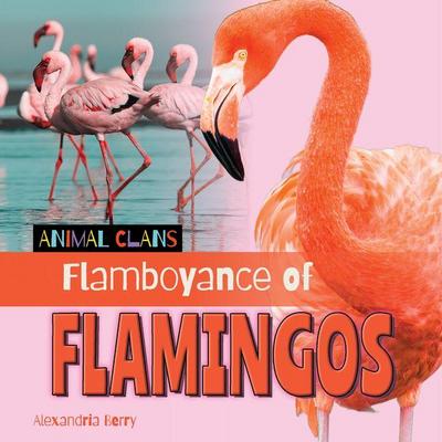 Flamboyance of Flamingos