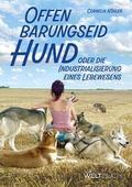 Offenbarungseid Hund