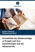 Variabilität der Niederschläge in Punjab und ihre 