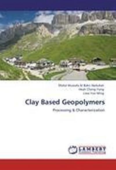 Clay Based Geopolymers