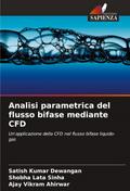 Analisi parametrica del flusso bifase mediante CFD