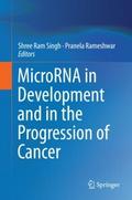 MicroRNA in Development and in the Progression of 