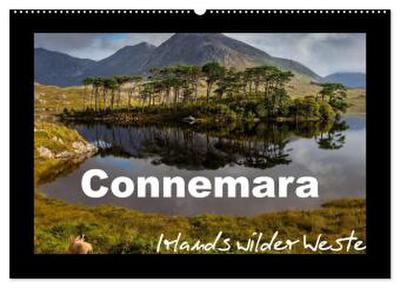 Connemara - Irlands wilder Westen (Wandkalender 2026 DIN A2 quer), CALVENDO Monatskalender