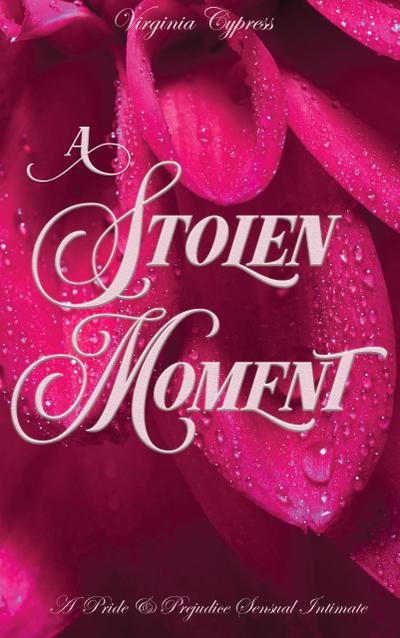 A Stolen Moment: A Pride and Prejudice Sensual Intimate Novella (Elizabeth’s Dark Secret, #1)