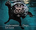 Underwater Dogs