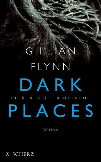 Flynn, G: Dark Places - Gefährliche Erinnerung