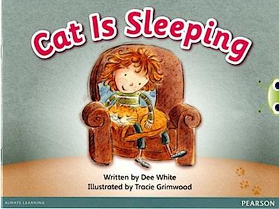 Bug Club Pink A Cat is Sleeping