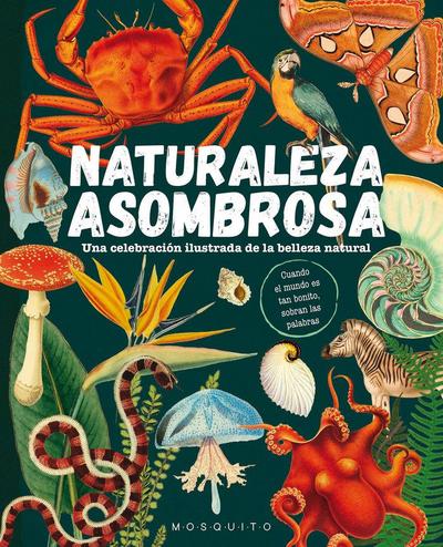 Naturaleza asombrosa : una celebración ilustrada de la belleza natural