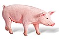 Tiptoi Bauernhof Spielfigur Schwein