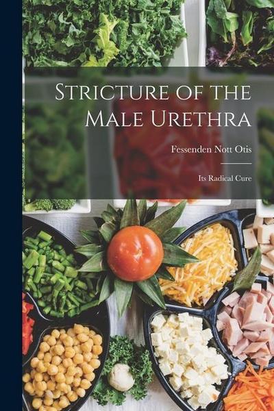 Stricture of the Male Urethra: Its Radical Cure