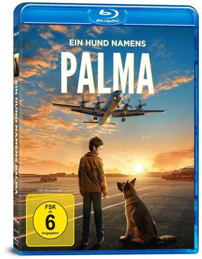 Ein Hund namens Palma