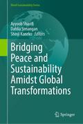 Bridging Peace and Sustainability Amidst Global Transformations