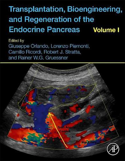 Transplantation, Bioengineering, and Regeneration of the Endocrine Pancreas