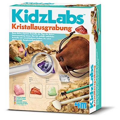 Kristallausgrabung (Experimentierkasten)