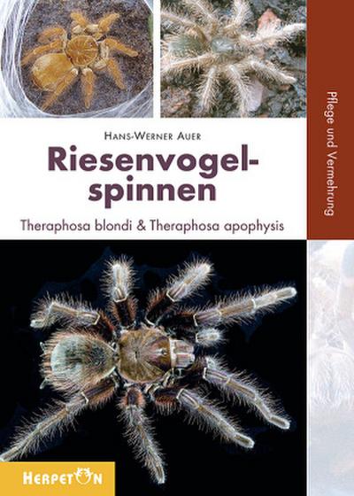 Riesenvogelspinnen